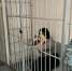 Задержаны члены этнической преступной группы, орудующей в общественном транспорте Екатеринбурга - Уральский рабочий