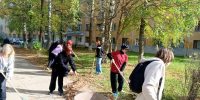 В Красном проходят осенние субботники - KrasnoeNews.Ru