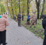 В Вадинском районе прошел субботник по благоустройству и санитарной очистке территории - Вадинский район