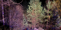 teYLZW0j8uk6b0Qcn_VKMuaZOoMIAmX7x3XMQTHrSpVs99GkKajY0rcTRfQLdU1Q_EVsFLRDgRZb1iCUsm8xqEbn.jpg - Ozersk74.Ru