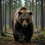 editing_result_723f2828559d11f1b9a54e41934d1690_1 - NeruLife.Ru