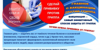 Наиболее эффективная мера профилактики гриппа – вакцинация!. - Город Ровеньки