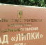 На детской площадке в «Липках» травмировался ребёнок - ИА Версия-Саратов