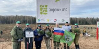 Сотрудники Управления приняли участие во Всероссийской акции «Сохраним лес» - Россельхознадзор
