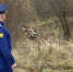 прокуратуры Калужской области - Kaluga-Poisk.Ru