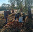 В Камешкирском районе состоялся субботник по благоустройству и санитарной очистке территорий населенных пунктов - Камешкирский район