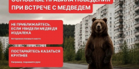❗Ситуация с медведями в Шушенском округе за 10, 11 октября. - Шушенский район