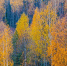 Картинка - Regions.Ru