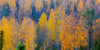 Картинка - Regions.Ru