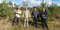 Уход за хвойными насаждениями - Департамент лесного хозяйства