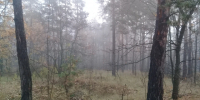 В Белгородском округе в третий раз за утро 12 октября объявили опасность атаки БпЛА - Комсомольская Правда