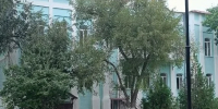 В Кизлярском филиале ДГТУ откроют новые направления подготовки специалистов - РИА Дагестан