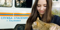 В Засвияжском районе Ульяновска спасатели сняли застрявшего на дереве кота - Комсомольская правда