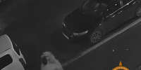 В Солнечном Красноярска неадекват напал на 9-летнюю девочку и пытался её задушить - ИА Запад24