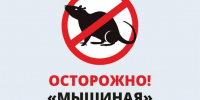 ГЕМОРРАГИЧЕСКАЯ ЛИХОРАДКА С ПОЧЕЧНЫМ СИНДРОМОМ (ГЛПС) И МЕРЫ ЕЕ ПРОФИЛАКТИКИ. - Город Галич