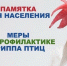 ПАМЯТКА ВЛАДЕЛЬЦАМ ДОМАШНЕЙ ПТИЦЫ ПО ПРОФИЛАКТИКЕ ГРИППА ПТИЦ - Город Галич