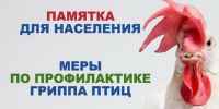 ПАМЯТКА ВЛАДЕЛЬЦАМ ДОМАШНЕЙ ПТИЦЫ ПО ПРОФИЛАКТИКЕ ГРИППА ПТИЦ - Город Галич