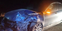 Семья из Барнаула с годовалой дочкой попала в ДТП из-за лошади на Алтае - Комсомольская Правда