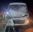 На трассе в Чувашии лось бросился под колеса автобуса с туристами из Йошкар-Олы - ИА МедиаПоток