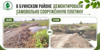 В Буинском районе демонтировали незаконную плотину - Министерство экологии
