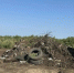 В Благовещенском округе ликвидируют несанкционированные свалки - gtrkamur.ru - ГТРК Амур