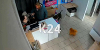 В Красноярске женщина избила сотрудницу ПВЗ и натравливала на нее стаффорда - Медиагруппа Юг Сибири