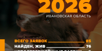 В сентябре число пропавших в Ивановской области пошло на убыль - Известно.ру