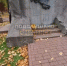 В областном центре разрушается памятник героям войны 1812 года - Смоленск 2.0