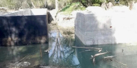 Директора фирмы оштрафовали на Ставрополье за нарушения водного законодательства - ИА Победа 26