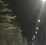 Ночные поездки по одной из трасс Челябинской области стали безопаснее - Pchela.News