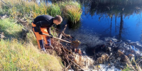 На дорогах Новгородской области обеспечили водоотвод на 18 участках - ИА Великий Новгород.ру