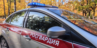В Брянске росгвардейцы за неделю задержали 31 нарушителя - БрянскToday.Ru