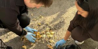 Когда забота — это не только про лечение: сотрудники Минздрава на субботнике! - Министерство здравоохранения