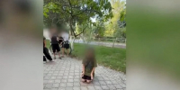 В Михайловке школьница дала пощечину сверстнице и заставила ее встать на колени - Volganet.Net