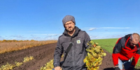 Воронежский филиал принял участие в акции «Зеленая дубрава" на Куликовом поле в Тульской области - Рослесозащита Воронежской области