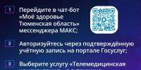Жители Тюменской области могут закрыть больничный лист онлайн через чат-бот в мессенджере МАКС - Armizon72.Ru