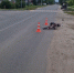 Водитель сбил велосипедиста в Нижегородской области и скрылся - ProDzer.Ru
