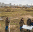 Проекты КРТ задают новый вектор обновления российских городов - Газета Сельские вести