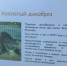 ЛДПР ценит труд зооволонтеров - ЛДПР