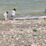 Проект капремонта Цимлянского водохранилища прошел госэкспертизу - DonDay.Ru