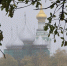 Дождливую неделю принес активный циклон на Вологодчину - Вологда.РФ