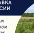 11,5 тыс. жителей региона получают пенсию в повышенном размере за работу в сельском хозяйстве - Сосновоборский район