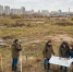 Проекты КРТ задают новый вектор обновления российских городов - Шуйские Известия