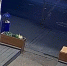 В Костроме украли одного из Мазайских зайцев - ГТРК Кострома