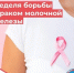 Рак молочной железы: «Смотри, чтобы не пропустить» - Балаковские вести