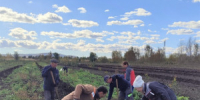 Новый коллекционный участок косточковых культур заложен в «Жигулёвских садах».  Коллекция пополнилась перспективными сортами абрикоса, сливы, вишни и черешни. - НИА Самара