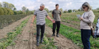 От теории к практике - КубГАУ