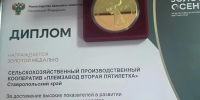 XXVIII крупнейшая агропромышленная выставка «Золотая осень». - Ипатовский городской округ