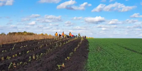 Рослесозащита продолжает восстановление дубовых насаждений на месте Куликовской битвы - Рослесозащита Тульской области