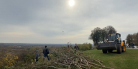 Во Владимире провели общегородской осенний субботник - Телеканал Вариант